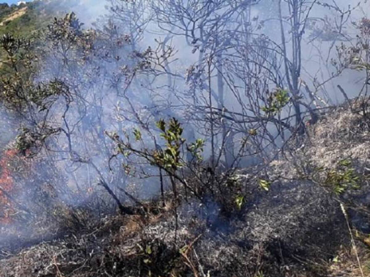 Más de 2.000 hectáreas fueron consumidas por incendio en La Macarena, Meta
