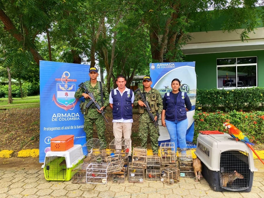 Fuerza Naval del Caribe