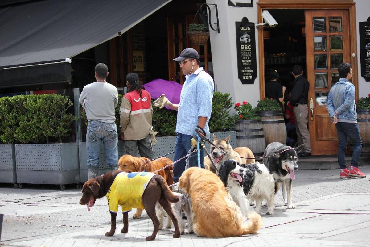 El elenco colombiano acaricia los octavos de final del Mundial Brasil 2014.