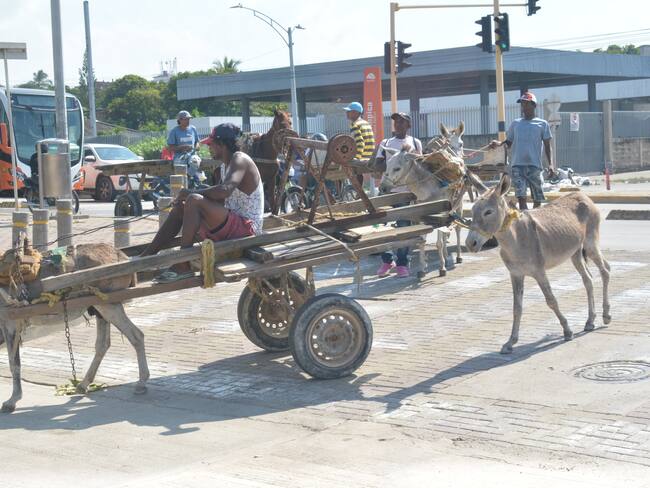 Beneficiarios del programa "Ruedas de Cambio" recibirán motocarros en Cartagena