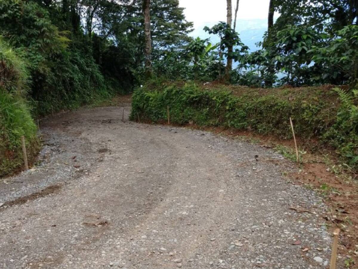 Reactivación económica en Caldas de la mano de Prosperidad Social