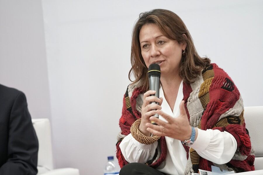 “Son 165 bienes los que tendrán cero arancel durante seis meses”: MinComercio