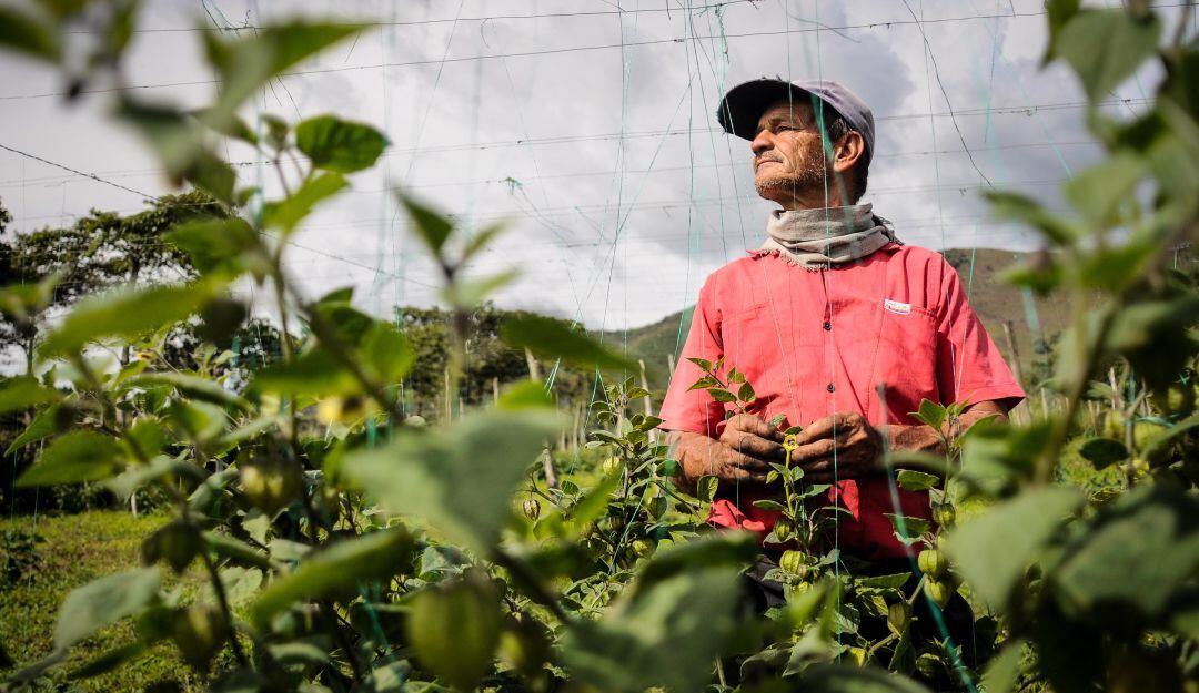 Proyecto de ley mejoraría las condiciones y acceso a la salud en el campo