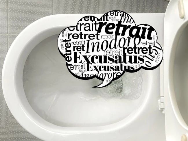 ¿De dónde proviene la palabra “inodoro” y por qué en algunos países se dice “excusado” o “retrete”? Getty Images/Grok