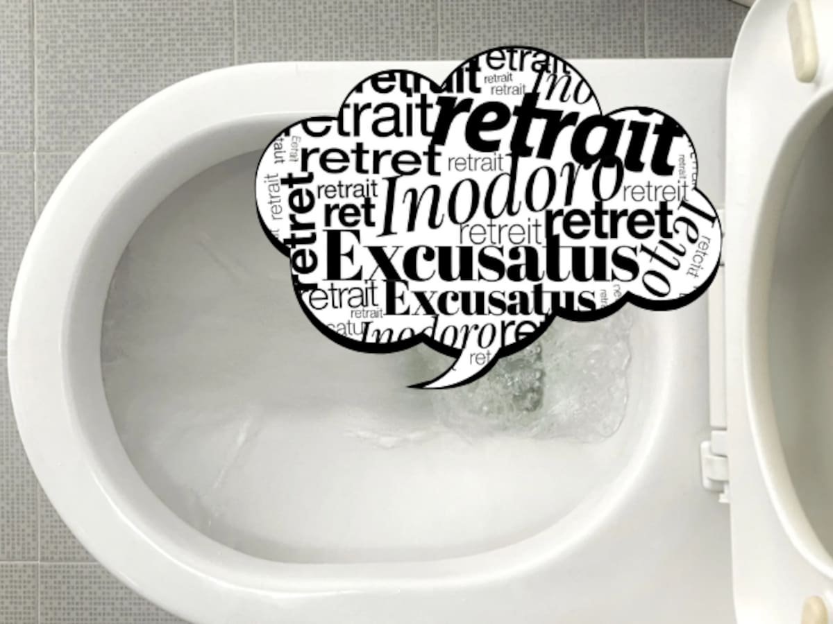 ¿De dónde proviene la palabra “inodoro” y por qué en algunos países se dice “excusado” o “retrete”?