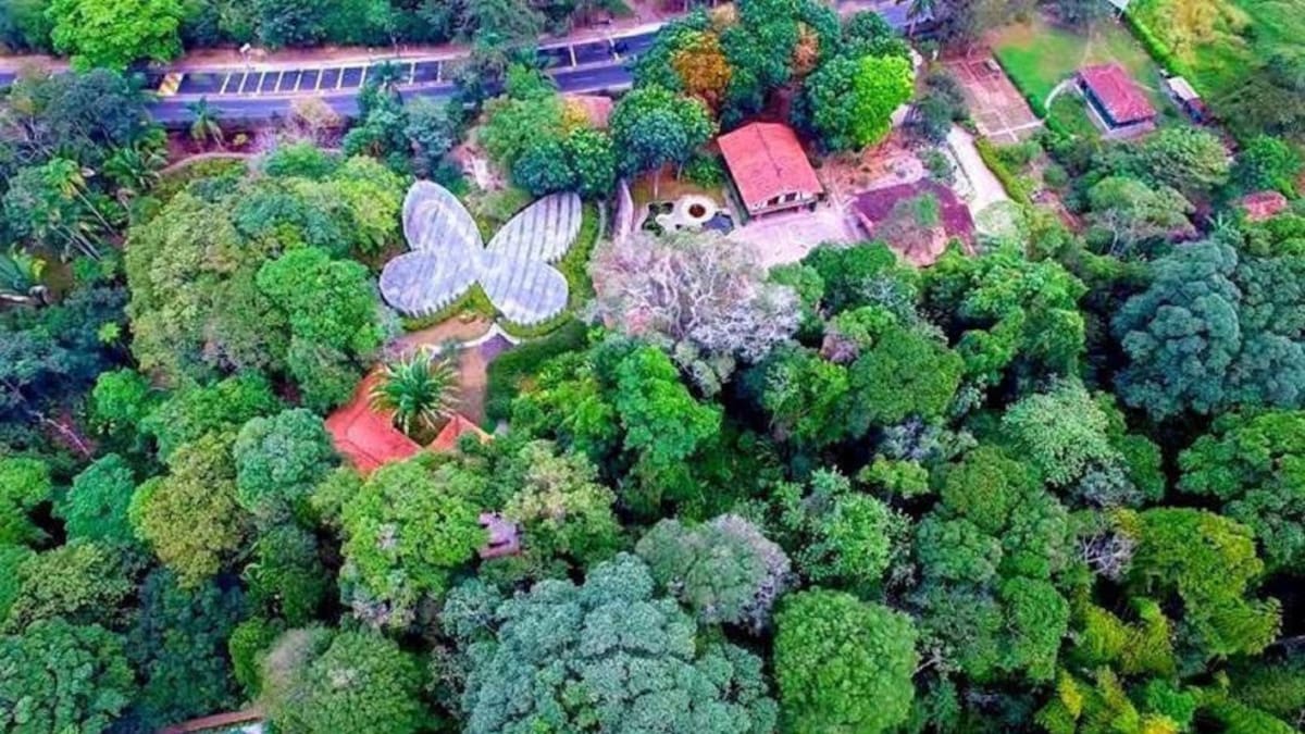 ¿Cómo es vivir la cuarentena en el Jardín Botánico del Quindío?