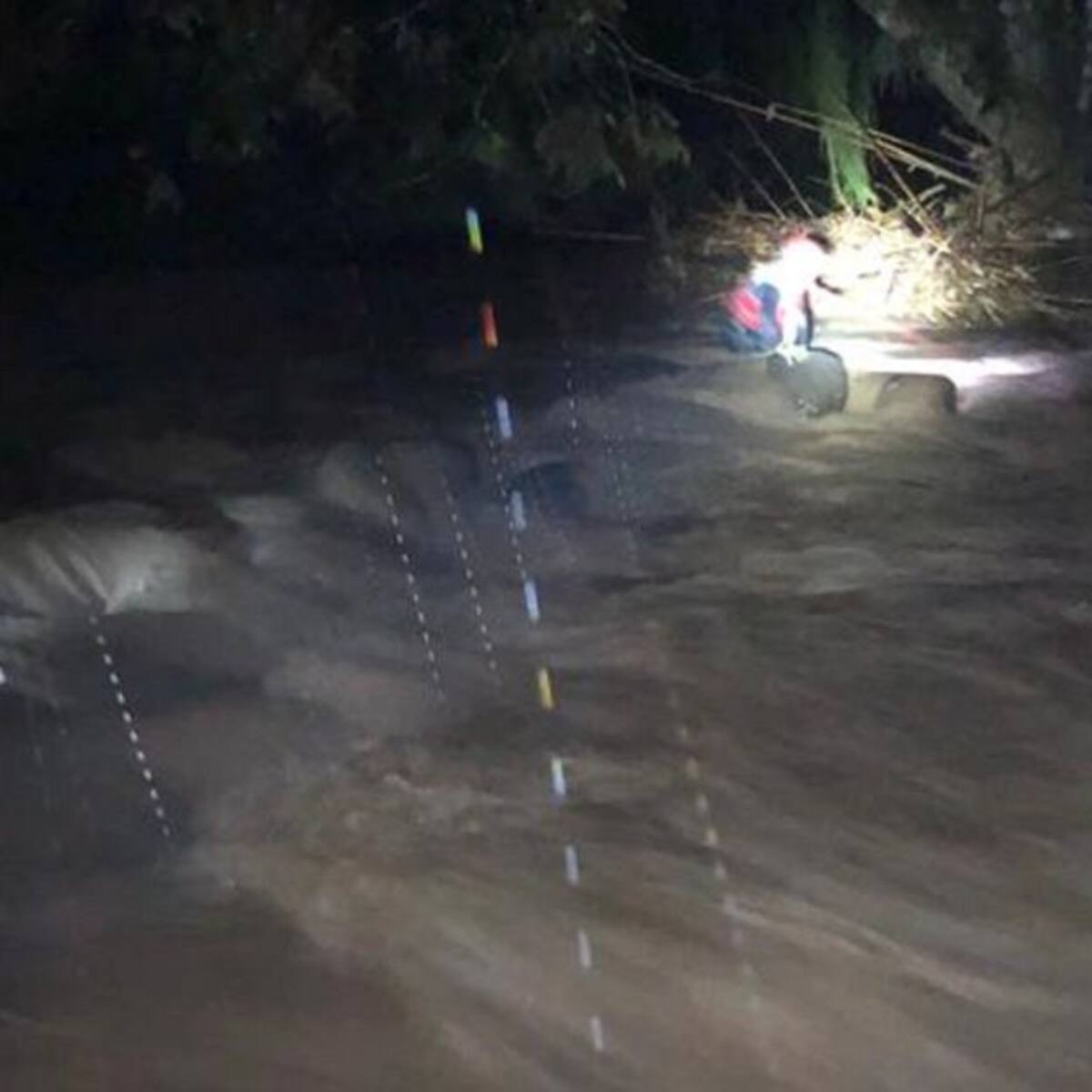 Caída de árboles, derrumbes y creciente de ríos, emergencias en Quindío