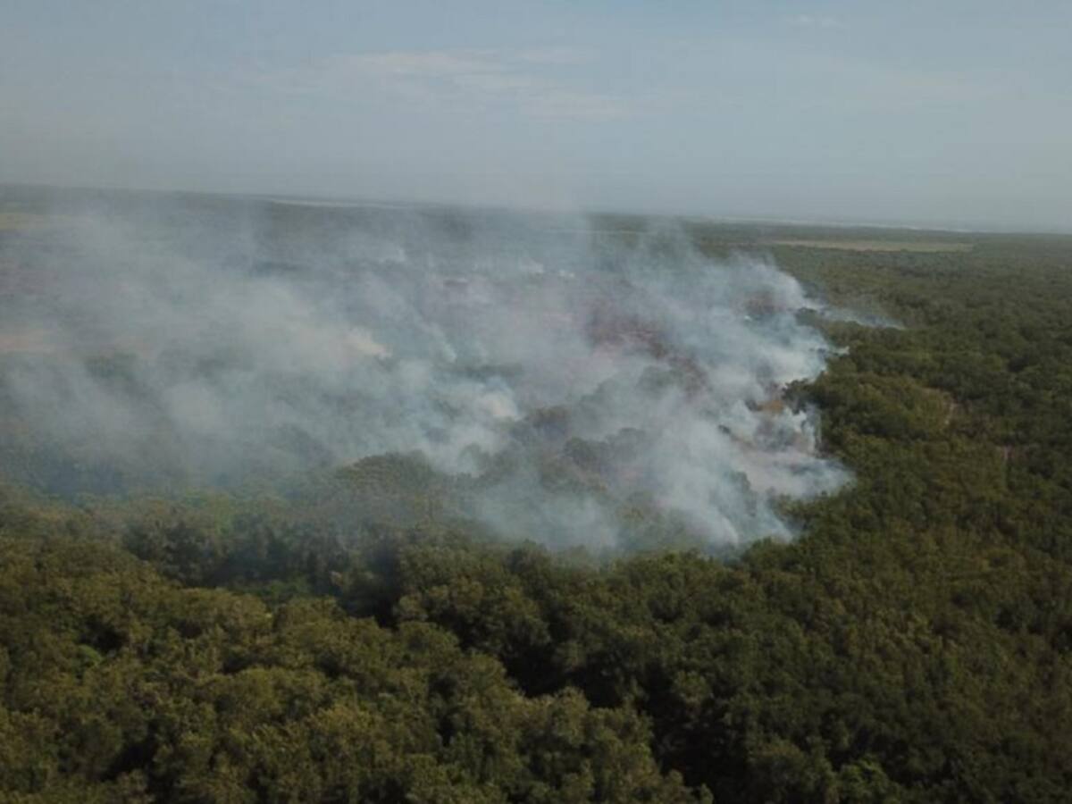 42 rescatistas luchan contra el incendio en Isla Salamanca