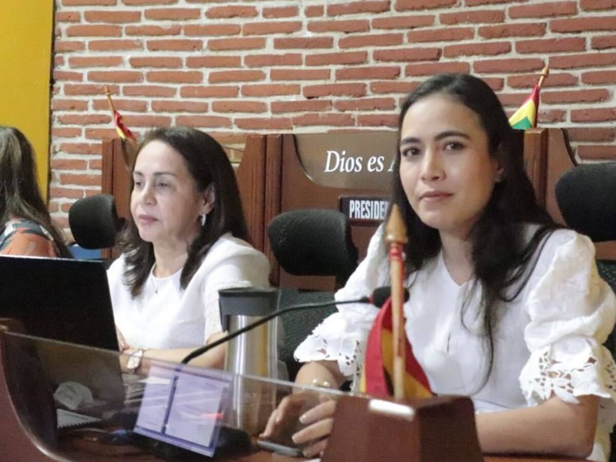 Concejo pide al Distrito revisar casos de desvinculación de personal
