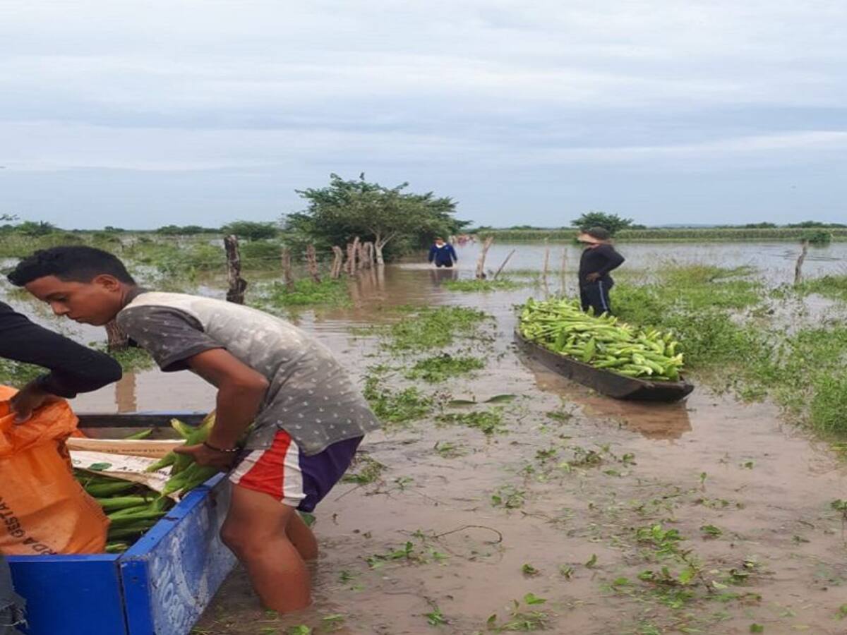 Bajo el agua quedaron 480 hectáreas de cultivo en el sur del Atlántico