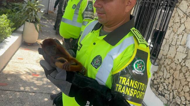 Policía de Bolívar