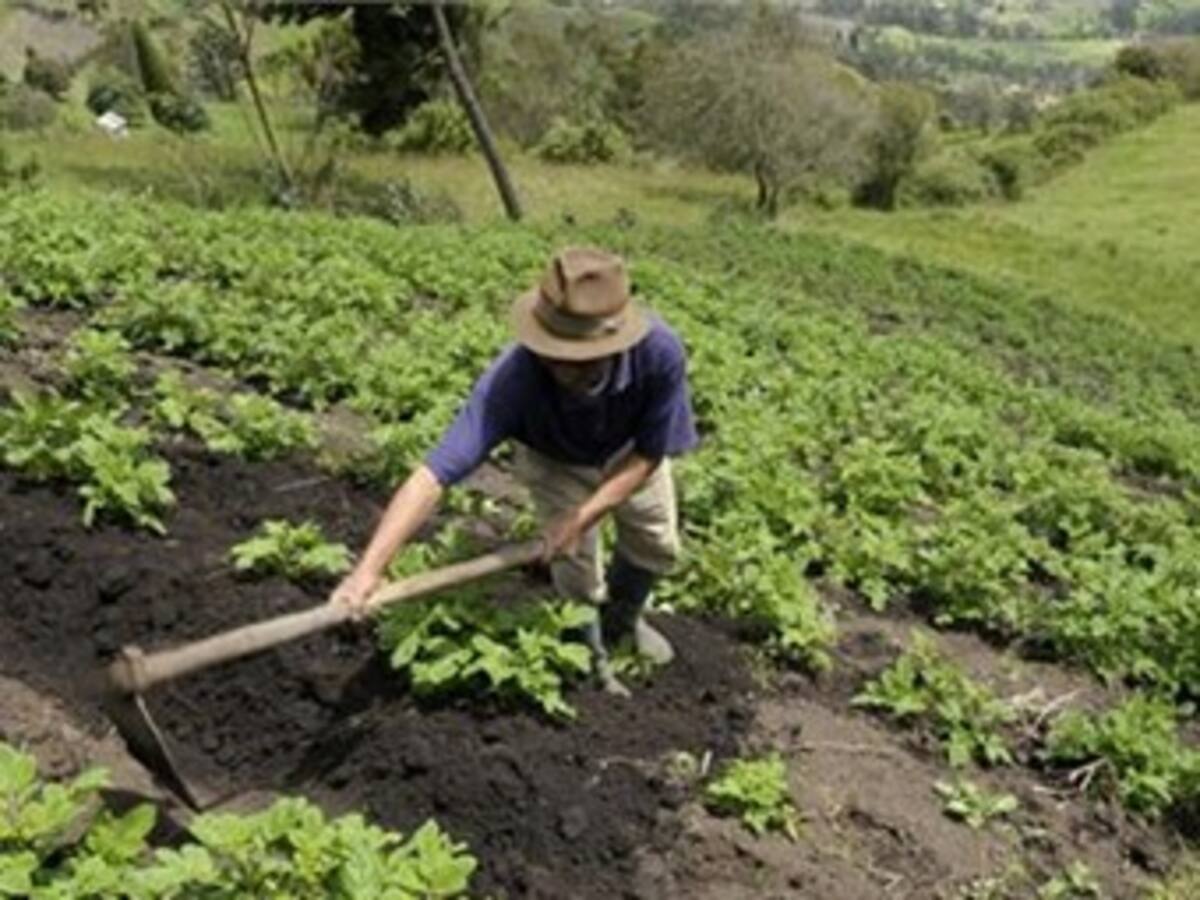 Acuerdo agrario Gobierno-Farc es "absolutamente trascendente": ANDI