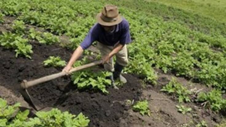 Acuerdo agrario Gobierno-Farc es "absolutamente trascendente": ANDI