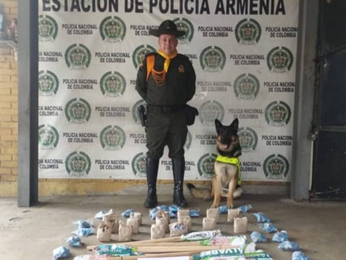 100 Kilos de pólvora ha decomisado la Policía en Quindío, gracias al perro antiexplosivos
