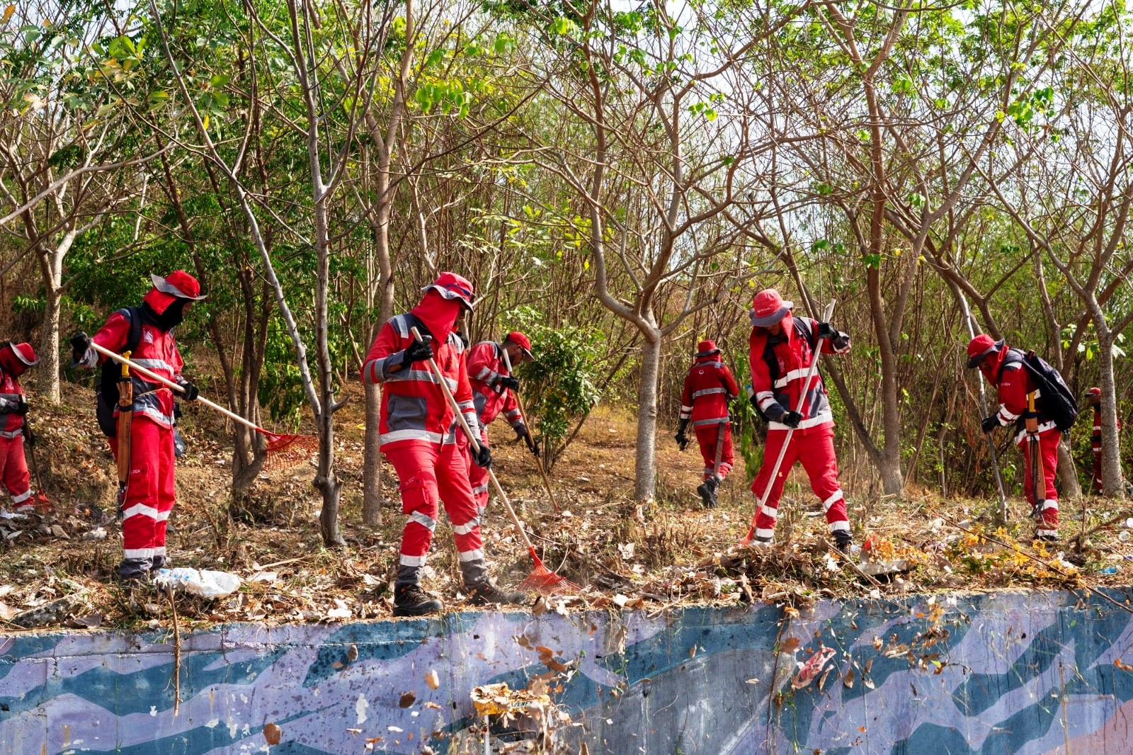 Veolia llevo a cabo jornada de limpieza en la reserva forestal de La Loma del Marión