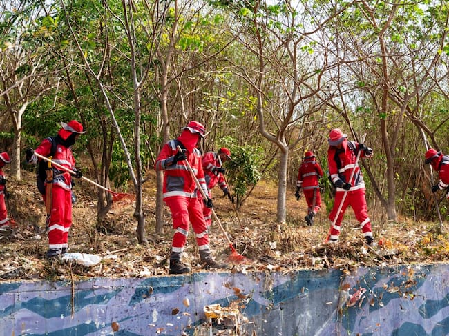 Veolia llevo a cabo jornada de limpieza en la reserva forestal de La Loma del Marión