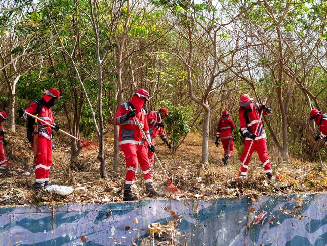 Veolia llevo a cabo jornada de limpieza en la reserva forestal de La Loma del Marión