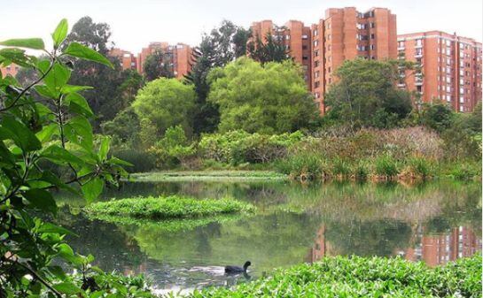 Humedal Córdoba, Patrimonio Natural.