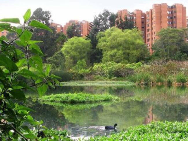 Humedal Córdoba, Patrimonio Natural, #Recorrido Virtual