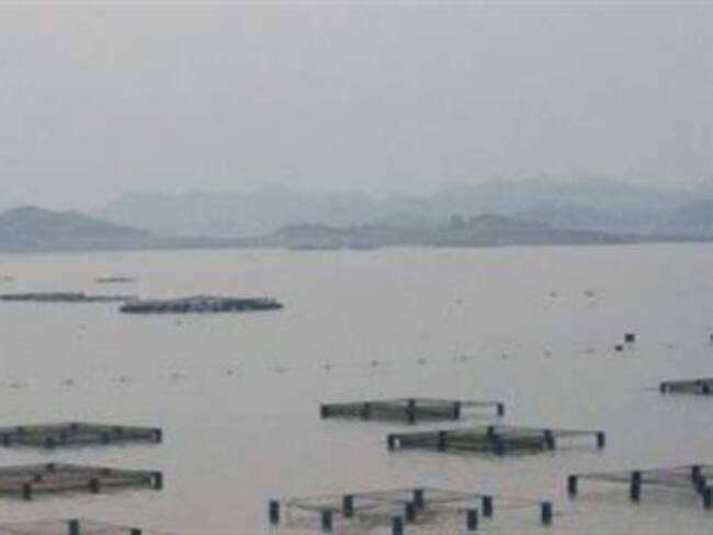 Embalses resisten ola de verano en algunas regiones de Colombia