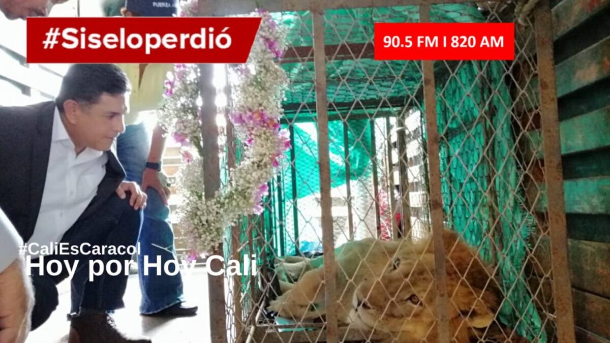 CALI HOY POR HOY 27 DE FEBRERO DEL 2020