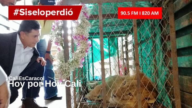 CALI HOY POR HOY 27 DE FEBRERO DEL 2020