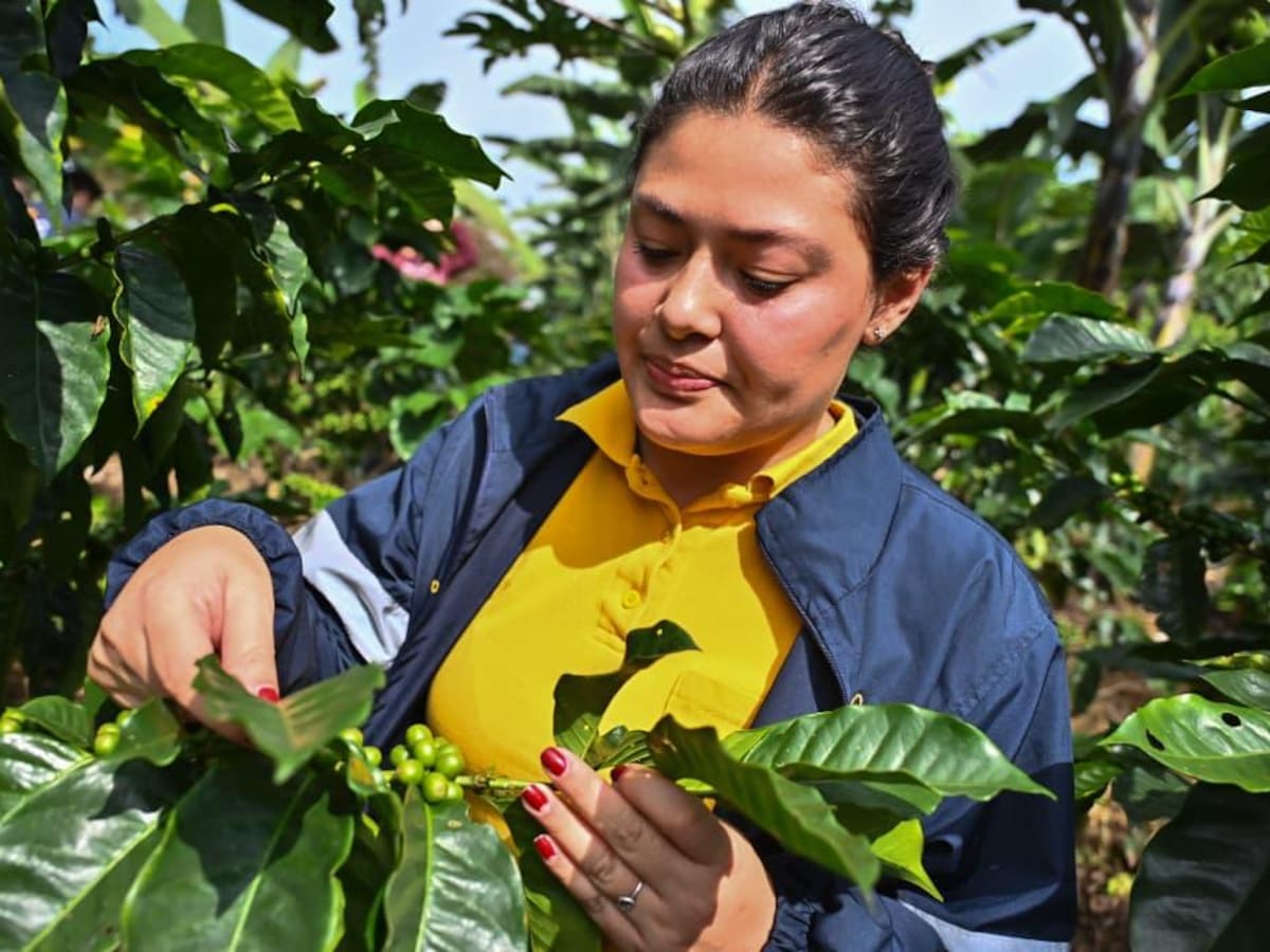 Cundinamarca reduce la pobreza y se mantiene como líder nacional en 2025