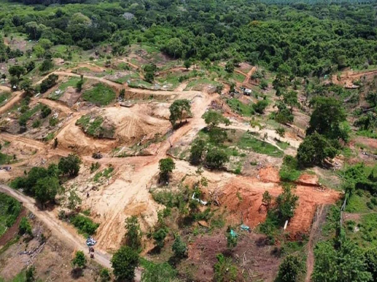 Invasión de predios es insostenible en el norte del Cauca: Consejo Gremial y Empresarial