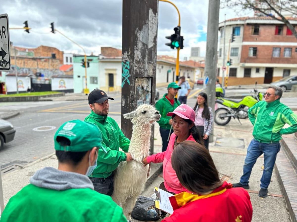 Gestor de convivencia terminó con brazo fracturado al intentar rescatar una llama