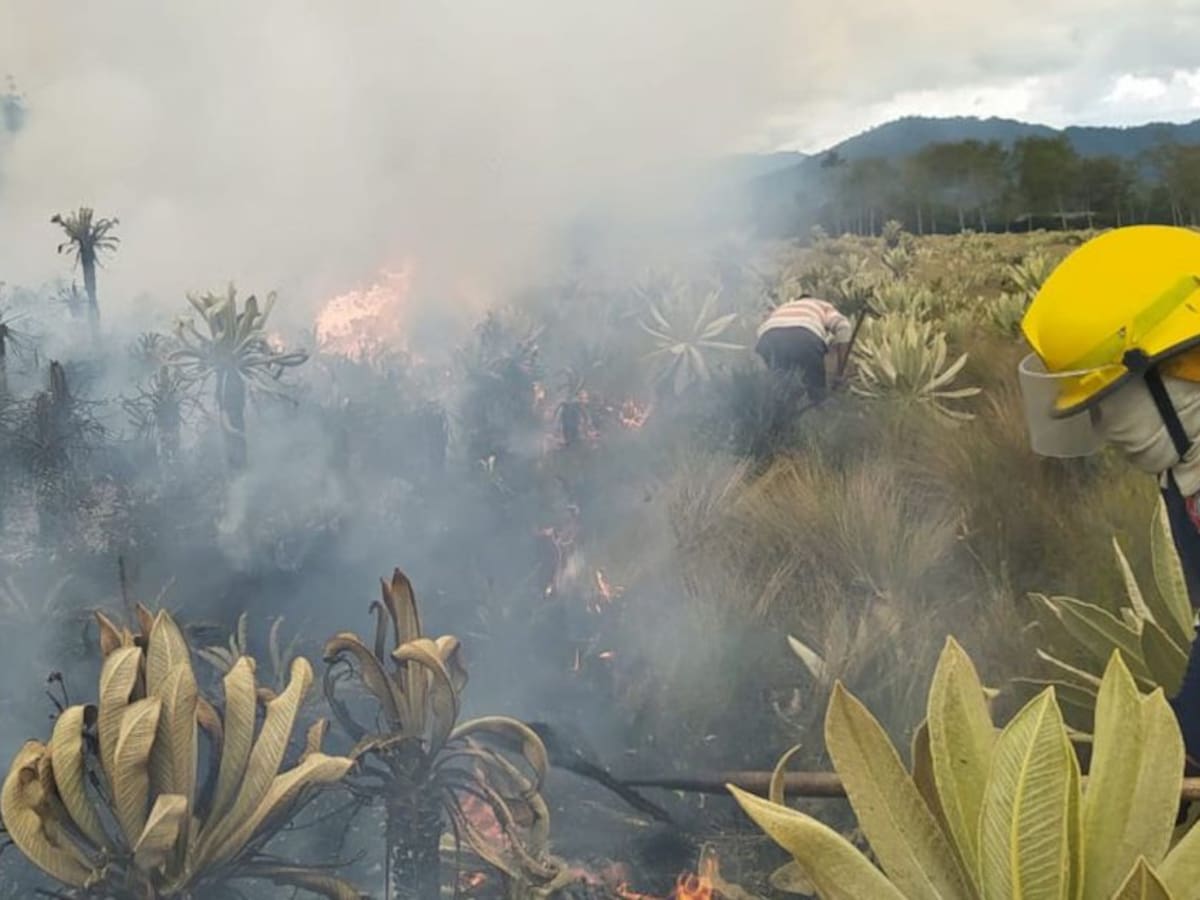 Rechazo en Nariño por incendios en el paramo