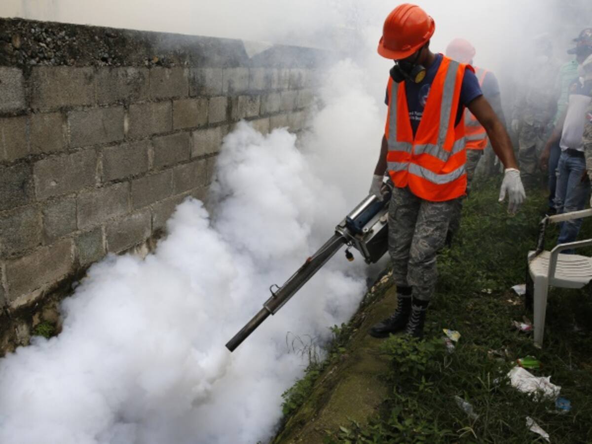 Emergencia declarada por la OMS fortalecerá acciones contra el Zika: OPS