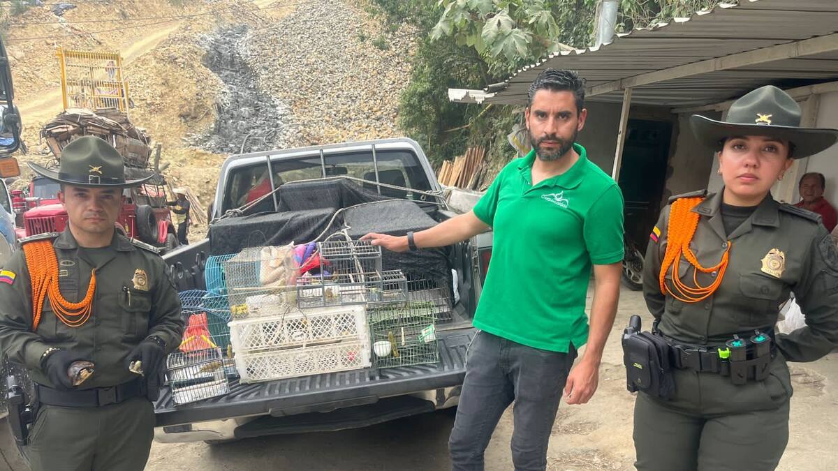 Golpe al cautiverio ilegal de animales en Caldas