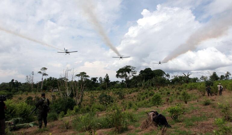 Erradicación de cultivos ilícitos