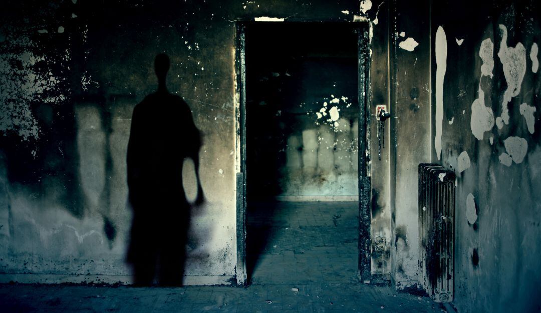 Imagen de referencia 