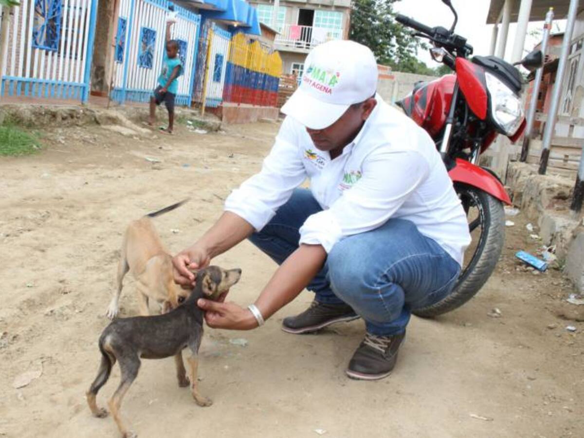 Continúa la práctica de puñaladas y machetazos en perros y burros en Cartagena