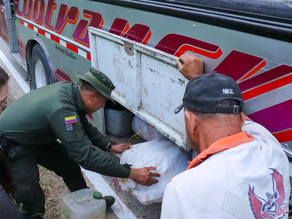Controles en Bolívar permitieron decomiso de huevos de iguana e hicoteas