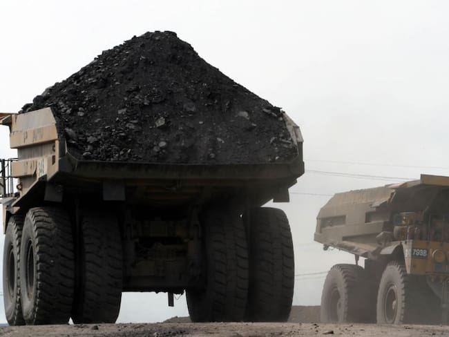 Valentina Arias Velasco, sobre el BIOCARBON