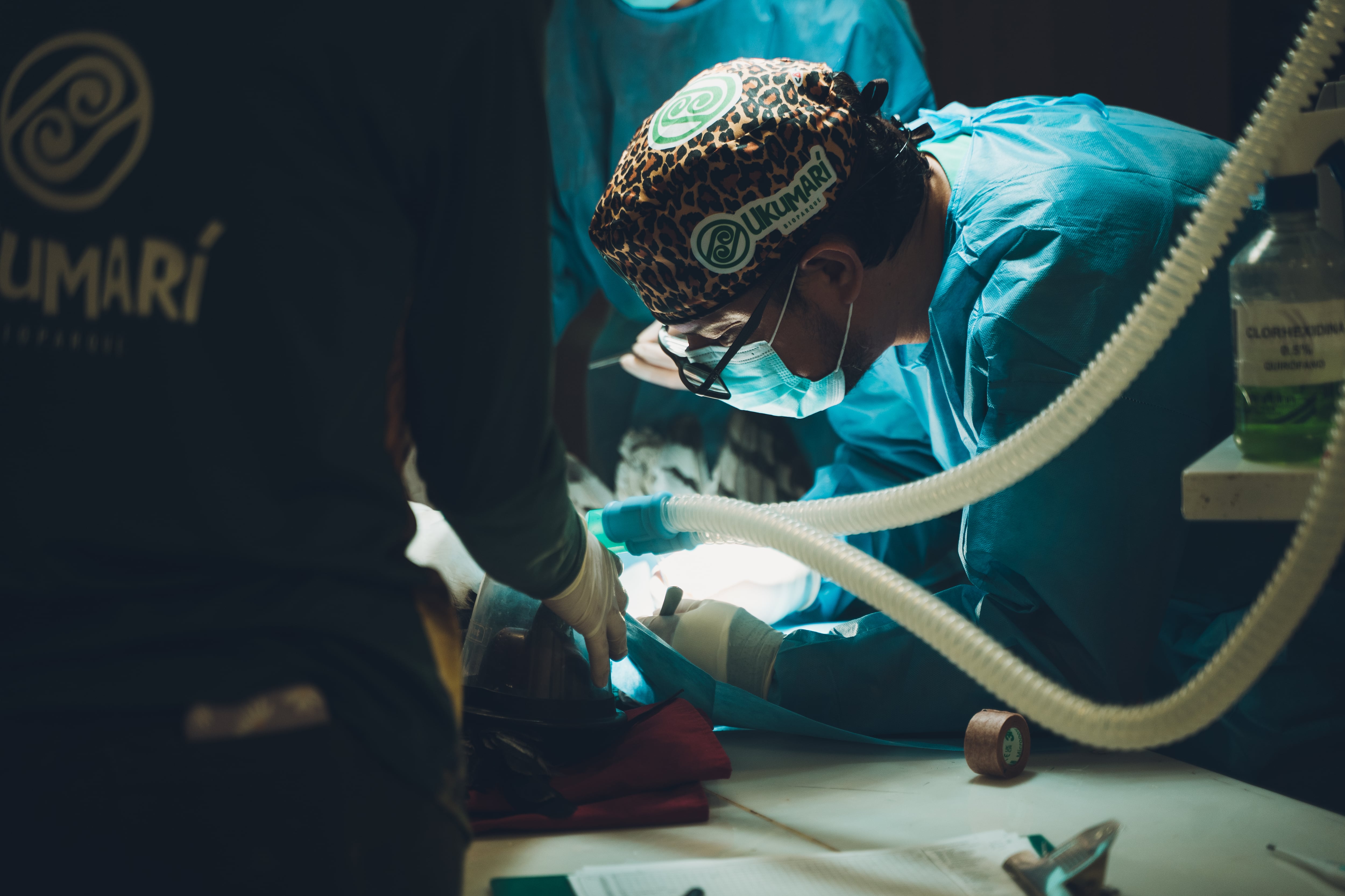 Foto: Bioparque Ukumarí de Pereira