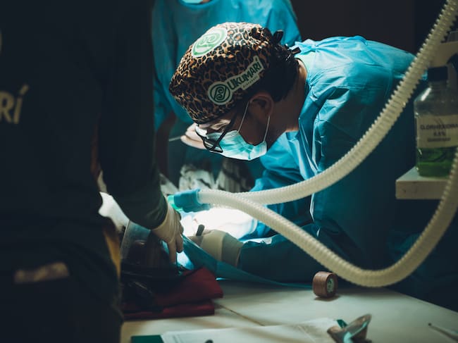 Foto: Bioparque Ukumarí de Pereira