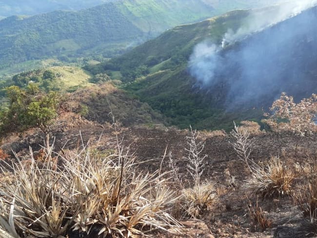 Alerta Roja en Tolima por incendios forestales