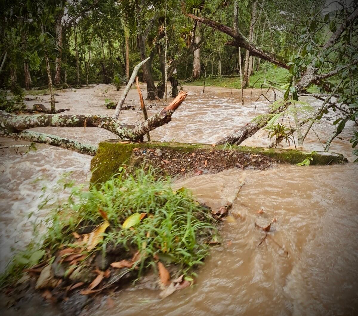 Foto Gobernación de Caldas