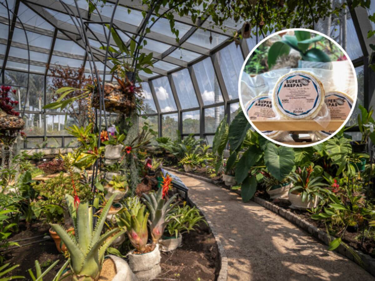 ¿Le gustaría vender sus productos en el Jardín Botánico de Bogotá?: aquí le enseñamos cómo