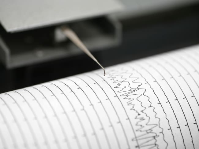 Captura de detalle recortada de la línea de impresión de sismómetros