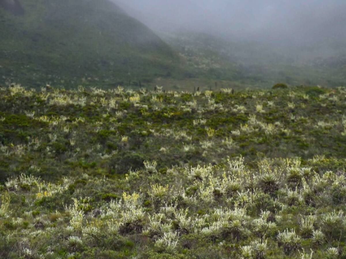 Aprobado el plan de manejo para el páramo de Rabanal