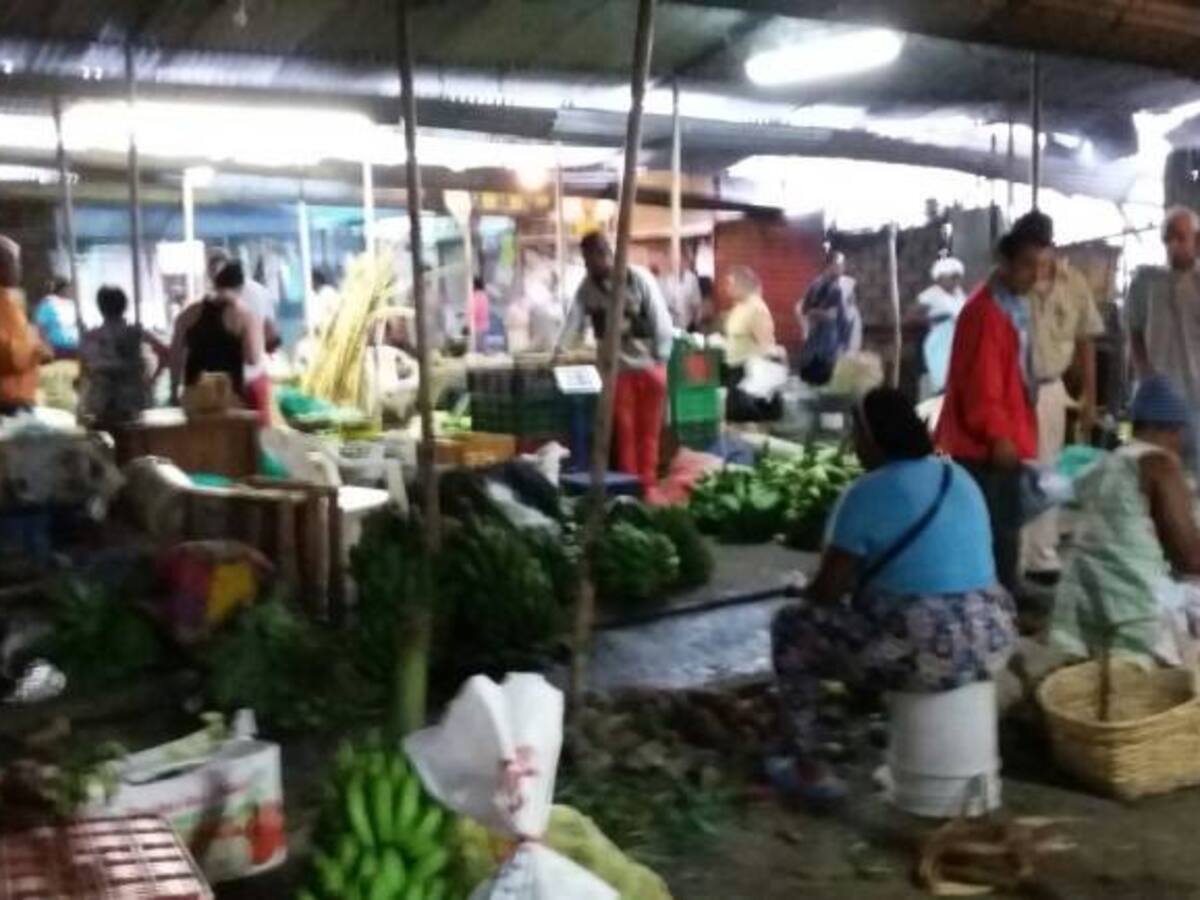 A pesar del paro camionero mejora la oferta de alimentos en el Valle del Cauca