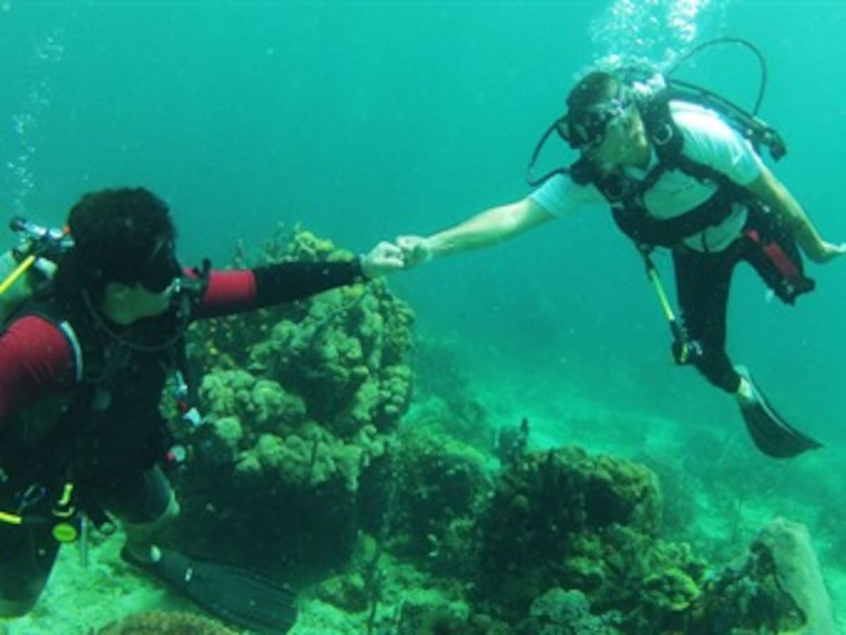24 héroes en condición de discapacidad harán curso de Buceo en Cartagena