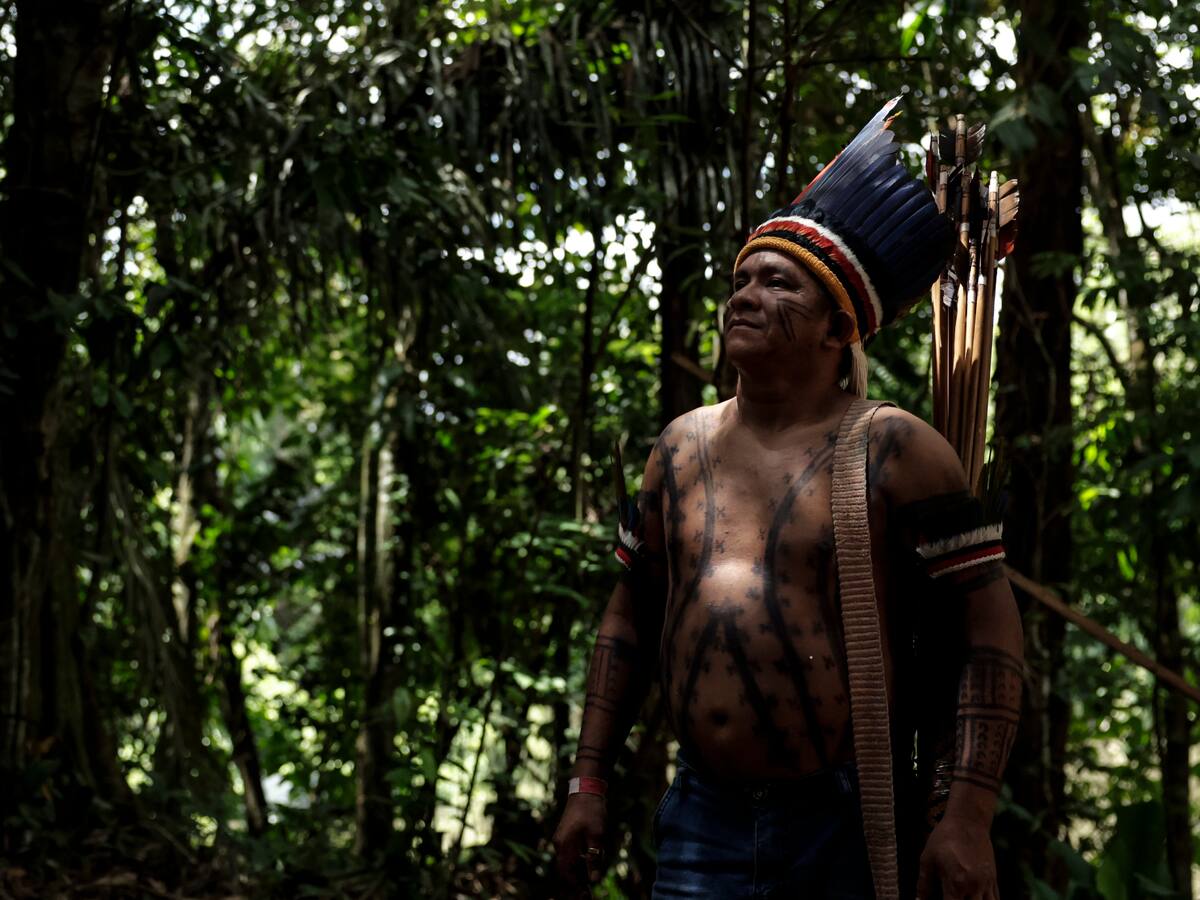 Reconociendo nuestros orígenes