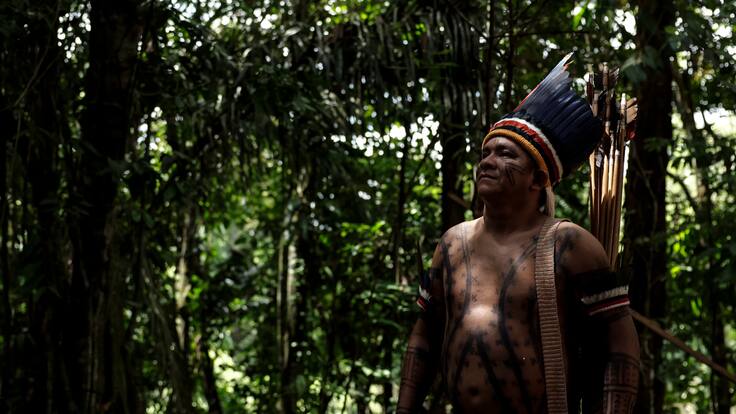 Reconociendo nuestros orígenes