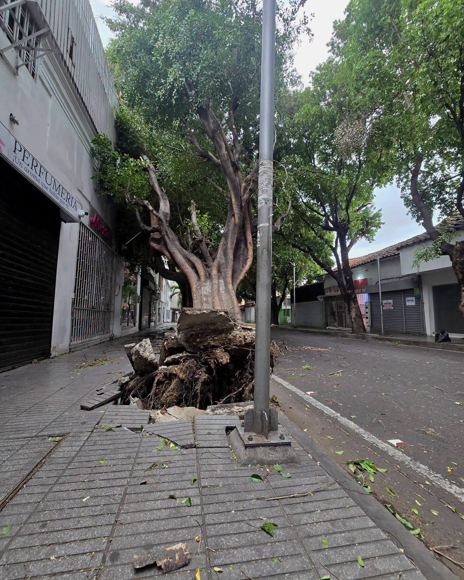 Fuertes vientos dejan tres heridos y múltiples afectaciones en Cúcuta. Foto: Cortesía.