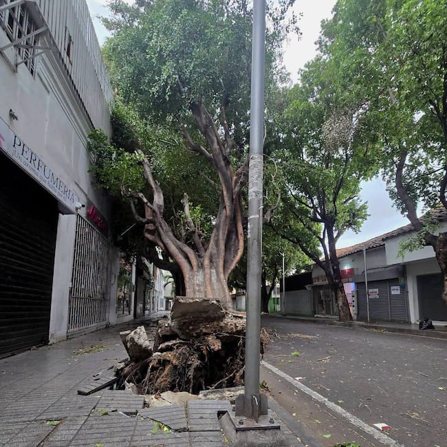 Fuertes vientos dejan tres heridos y múltiples afectaciones en Cúcuta. Foto: Cortesía.